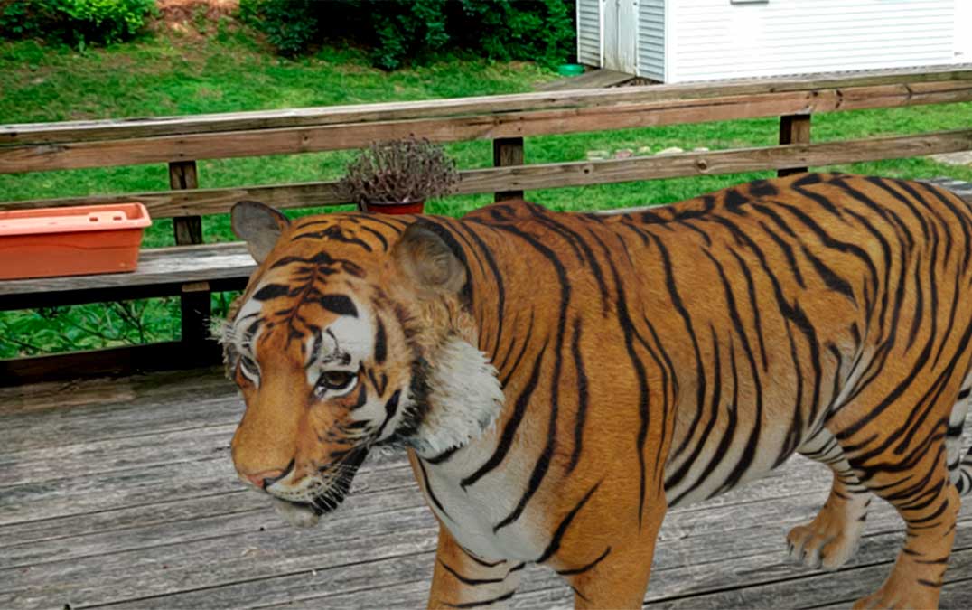 Tigre 3D no Google vira celebridade e todos o querem ver! - Leak