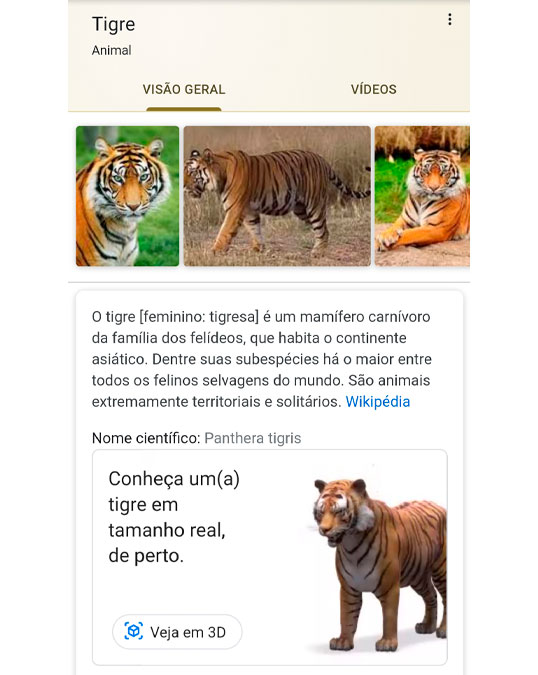 Tigre 3D no Google vira celebridade e todos o querem ver! - Leak