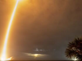Rasto luminoso de um Falcon 9 com satélites Starlink durante um lançamento noturno, visto sobre a água e entre palmeiras.