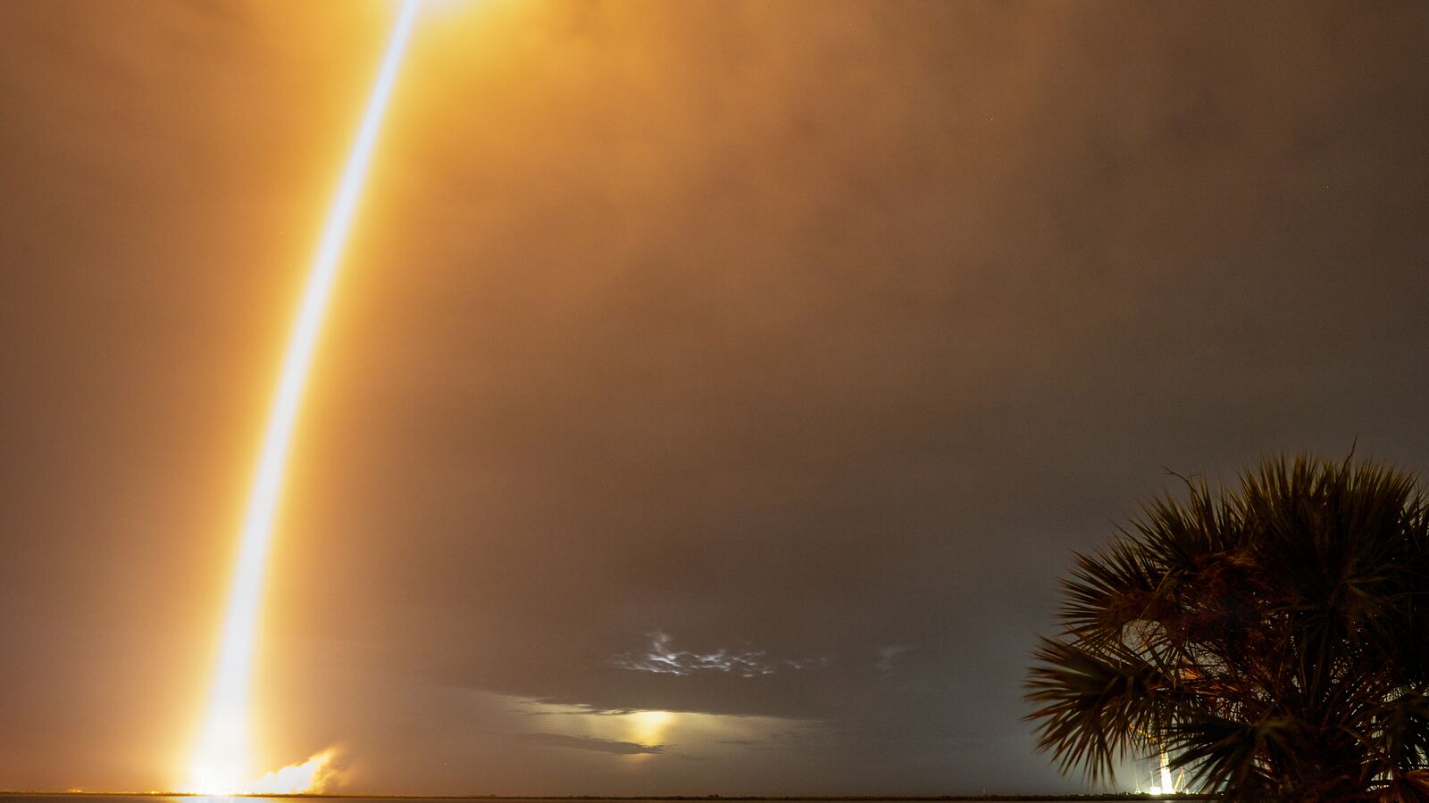 Rasto luminoso de um Falcon 9 com satélites Starlink durante um lançamento noturno, visto sobre a água e entre palmeiras.