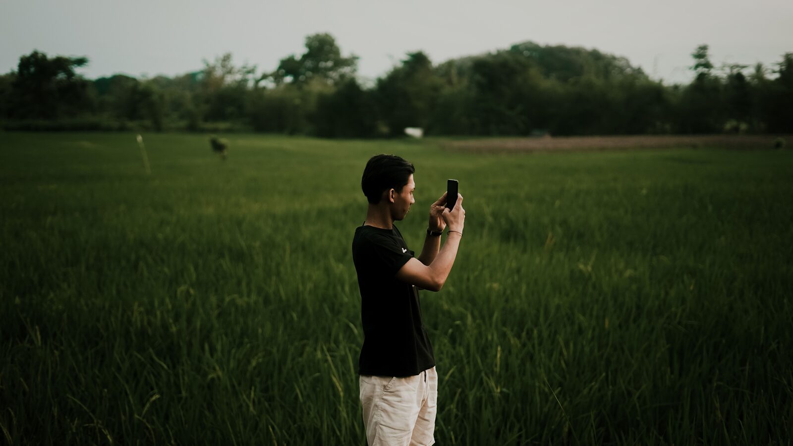 Homem usa um smartphone em um campo aberto cercado por vegetação.